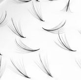 WISPY 7D PROMADE FANS 0.05 (LOOSE BOX 500)