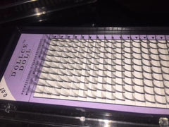 8D (LONG STEM) 16 Lines