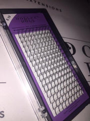 5D (LONG STEM) 16 Lines