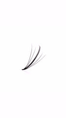 * NEW* WISPY 5D PROMADE FANS 0.05 (LOOSE BOX 500)