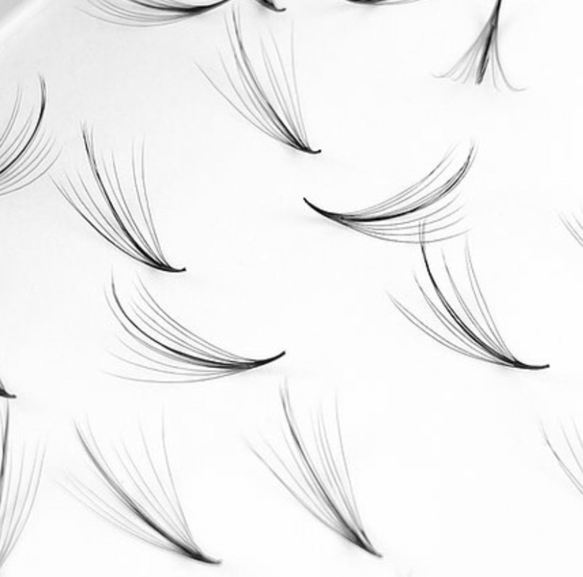 WISPY 7D PROMADE FANS 0.05 (LOOSE BOX 500)