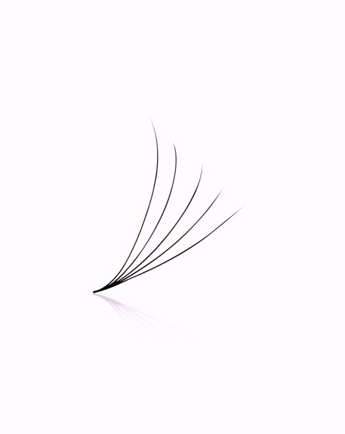PRO MADE 5D 0.05 RUSSIAN FANS (LOOSE BOX OF 500)